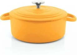 Chantal Enameled Cast-Iron Round Dutch Oven With Lid -Kitchen Supplies Store tc32 220